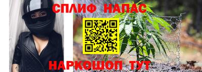 jwh Будённовск